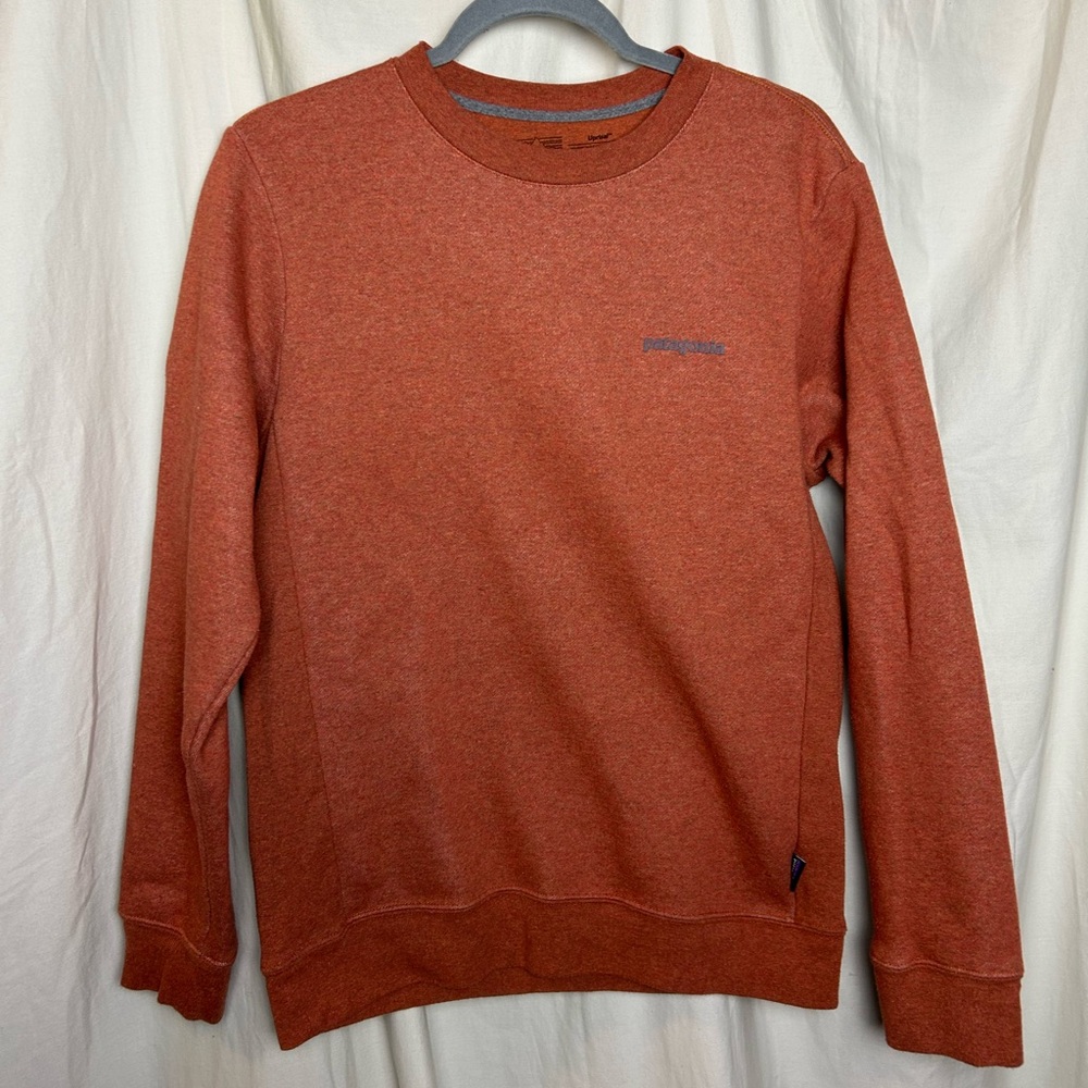 Patagonia crewneck